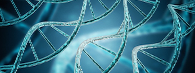 shutterstock_201972790(resized cropped)