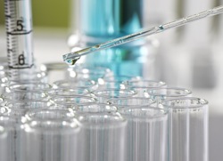 shutterstock_135055676